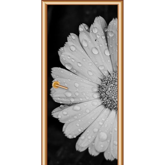 Siyah Beyaz Kapı Giydirme 03