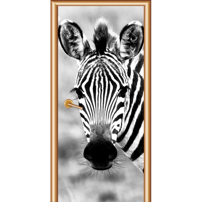 Siyah Beyaz Kapı Giydirme 04