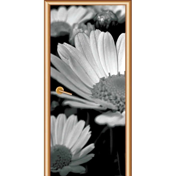 Siyah Beyaz Kapı Giydirme 08