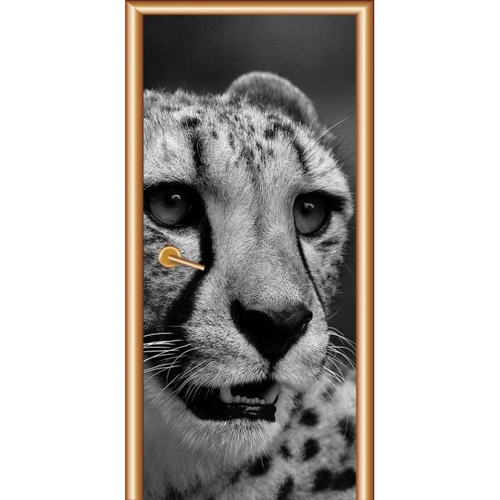 Siyah Beyaz Kapı Giydirme 11