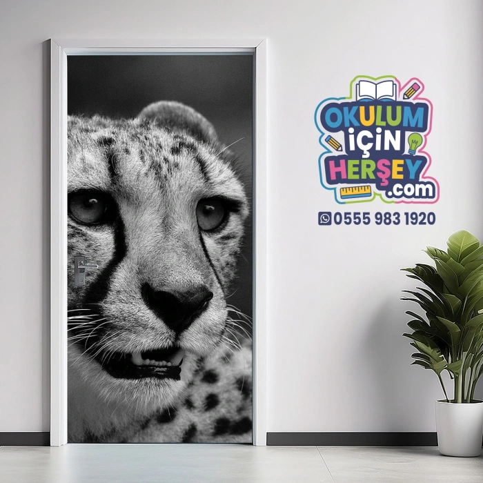 Siyah Beyaz Kapı Giydirme 11