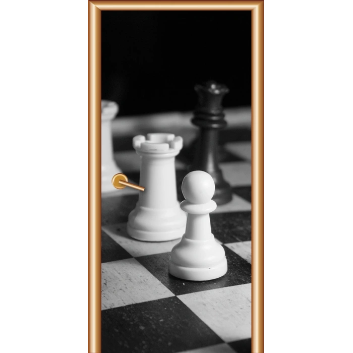 Siyah Beyaz Kapı Giydirme 12