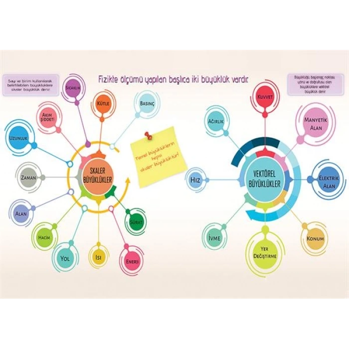Skaler ve Vektörel Büyüklükler P FİZ 31