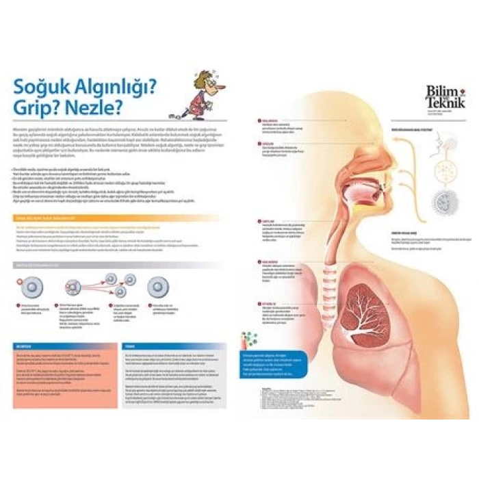 Soğuk Algınlığı P SP 02