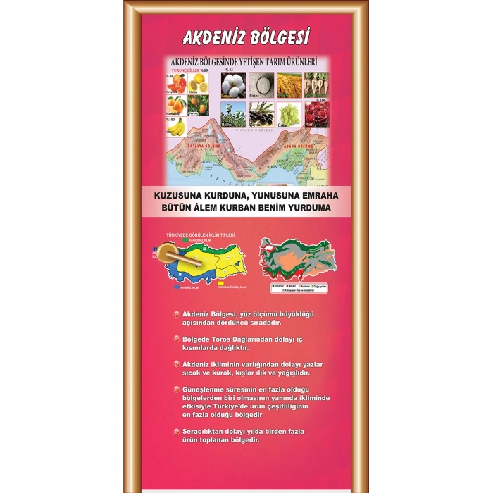 Sosyal Bilgiler Sınıfı Kapı Giydirme 08