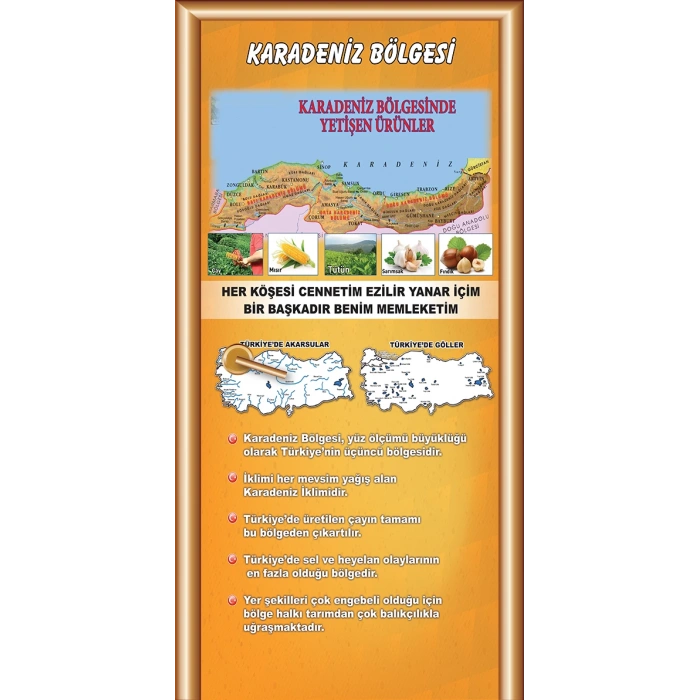 Sosyal Bilgiler Sınıfı Kapı Giydirme 09