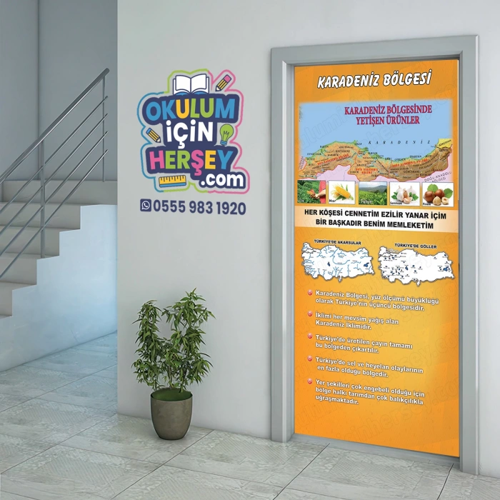 Sosyal Bilgiler Sınıfı Kapı Giydirme 09