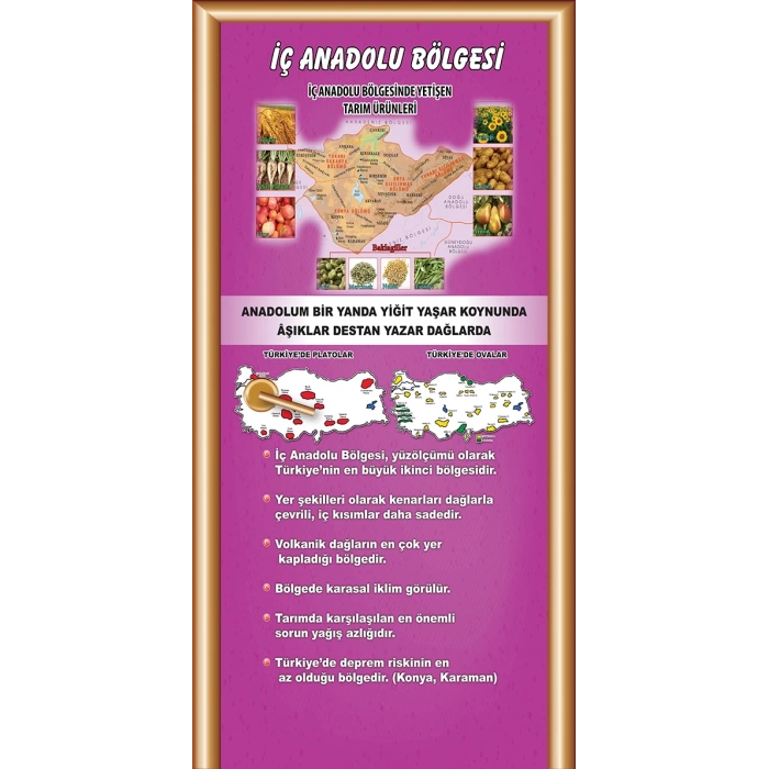 Sosyal Bilgiler Sınıfı Kapı Giydirme 10