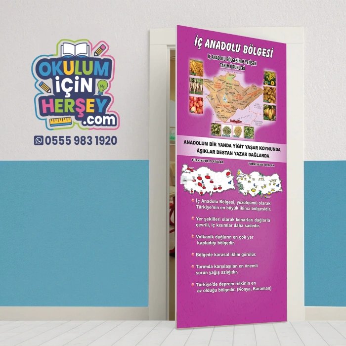 Sosyal Bilgiler Sınıfı Kapı Giydirme 10