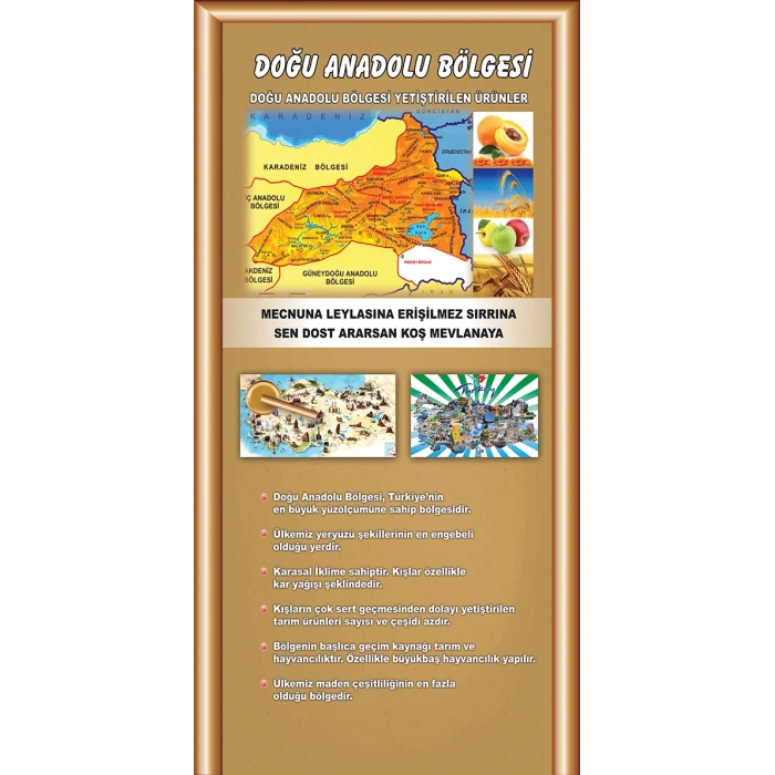 Sosyal Bilgiler Sınıfı Kapı Giydirme 11