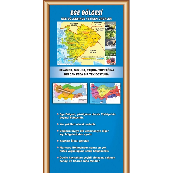 Sosyal Bilgiler Sınıfı Kapı Giydirme 12