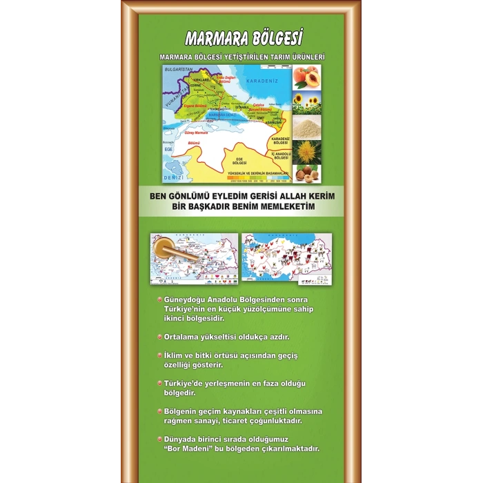 Sosyal Bilgiler Sınıfı Kapı Giydirme 14