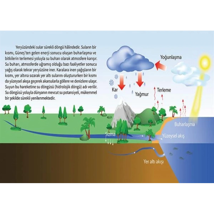 Su Döngüsü P COG 44