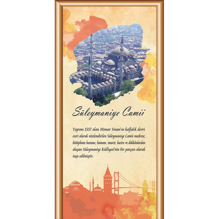 Süleymaniye Camii Kapı Giydirme 20