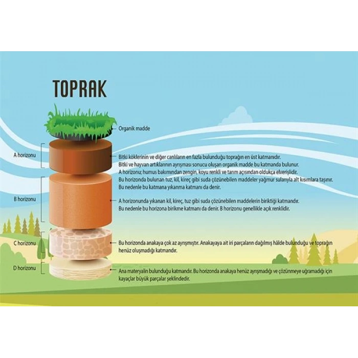 Toprağın Katmanları (Horizonları) P COG 31