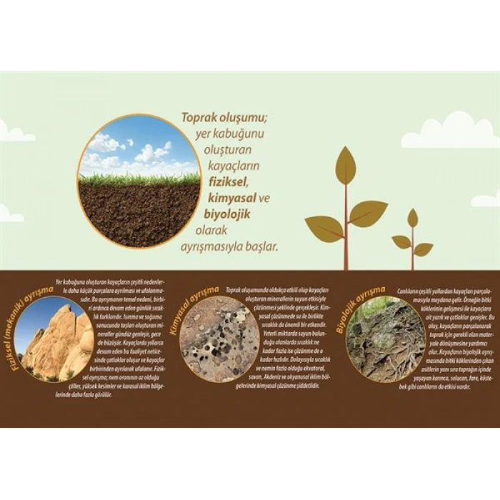 Toprak Oluşumu P COG 19
