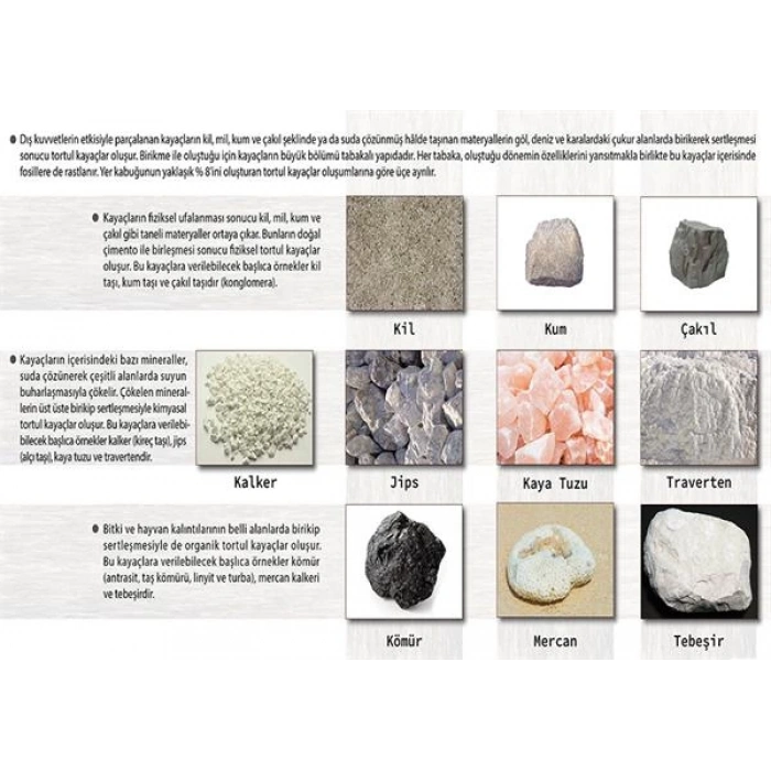 Tortul (Sedimenter) Kayaçlar P COG 52