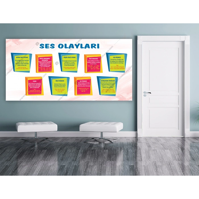 Türkçe Ses Olayları DG TE 18