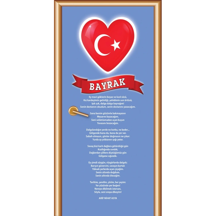 Türkçe Sınıfı Kapı Giydirme 11