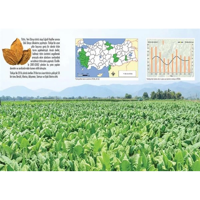 Türkiye de Tütün Üretimi P COG 13