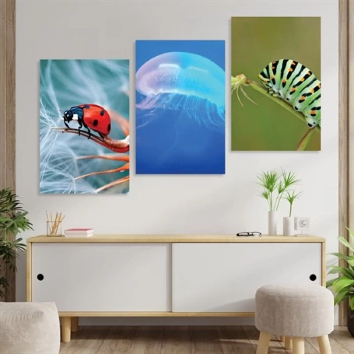 Ufak Hayvanlar 3lü Duvar Tablo Seti