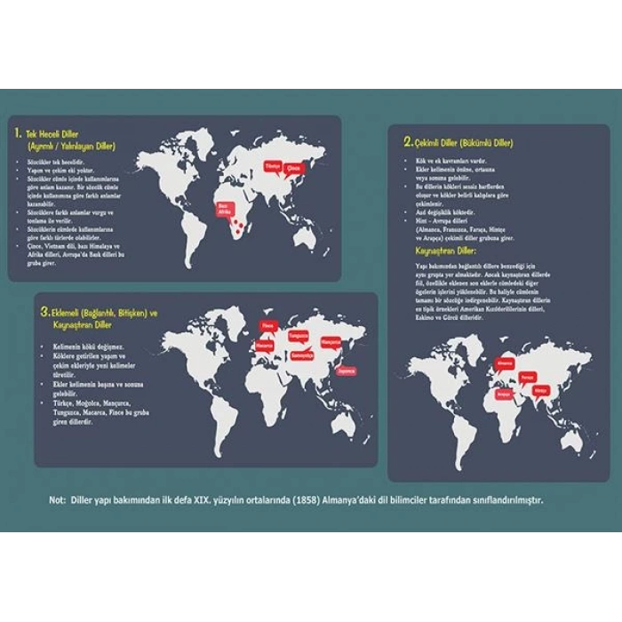 Yapı Bakımından Diller P EDB 43