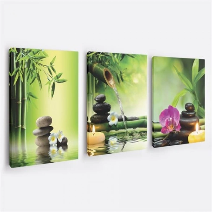 Yeşil Bambu Ağacı 3lü Duvar Tablo Seti