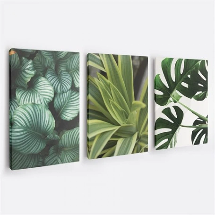 Yeşil Çiçekler 3lü Duvar Tablo Seti