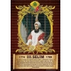 3. Selim P OP 28