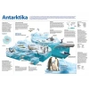 Antartika P COG 01