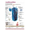 Antibiyotikler P BİY 05