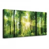 Gün Işığı üzerinde Orman Kanvas Tablo