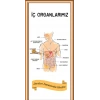 İç Organlarımız Kapı Giydirme 01
