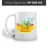 KP OGR 022 Kimya Öğretmeni