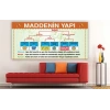 Maddenin Yapısı Duvar Giydirme 13