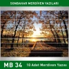 Merdiven Yazıları Manzara MB 034