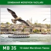 Merdiven Yazıları Manzara MB 035