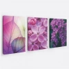 Mor Çiçek Resimli 3lü Duvar Tablo Seti