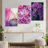 Mor Çiçek Resimli 3lü Duvar Tablo Seti