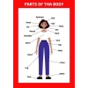 Parts Of The Body Girl 01