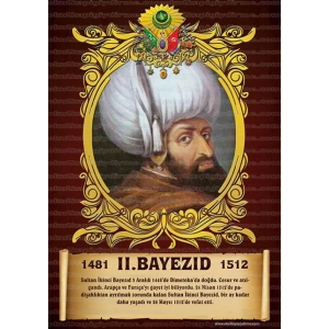 2. Bayezid P OP 08
