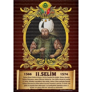 2. Selim P OP 11