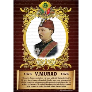 5. Murad P OP 33