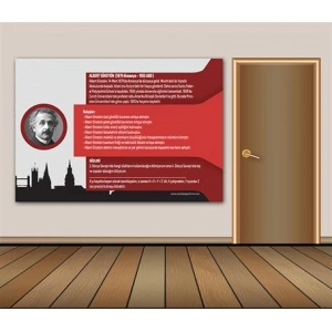 Albert Einstein Duvar Giydirme 01