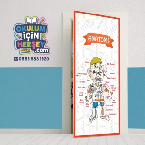 Anatomi Kapı Giydirme 09