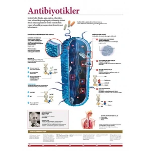 Antibiyotikler P BİY 05
