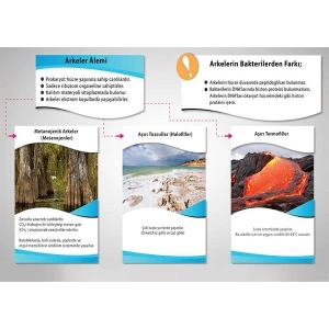 Arkeler Âlemi P BİY 30