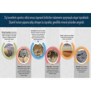 Azonal Topraklar P COG 34