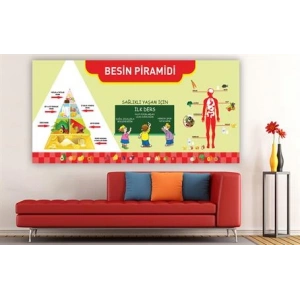 Besin Piramidi Duvar Giydirme 04