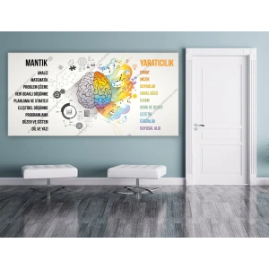 Beyin, Sanat ve Zeka DG AZA 02